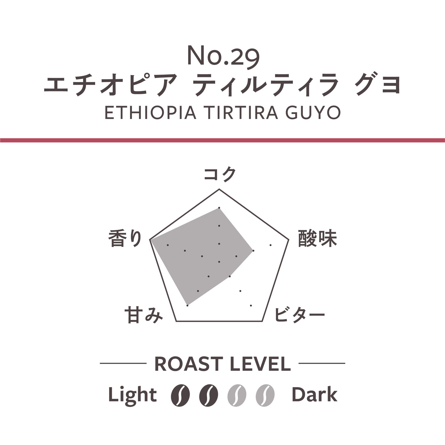 【中浅煎り】エチオピア ティルティラ グヨ